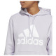 Adidas Γυναικείο φούτερ W BL FT R HD